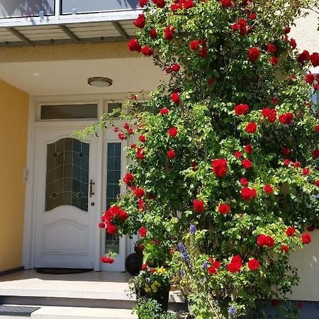 Ferienwohnung Kirsch Санкт Вендел Екстериор снимка